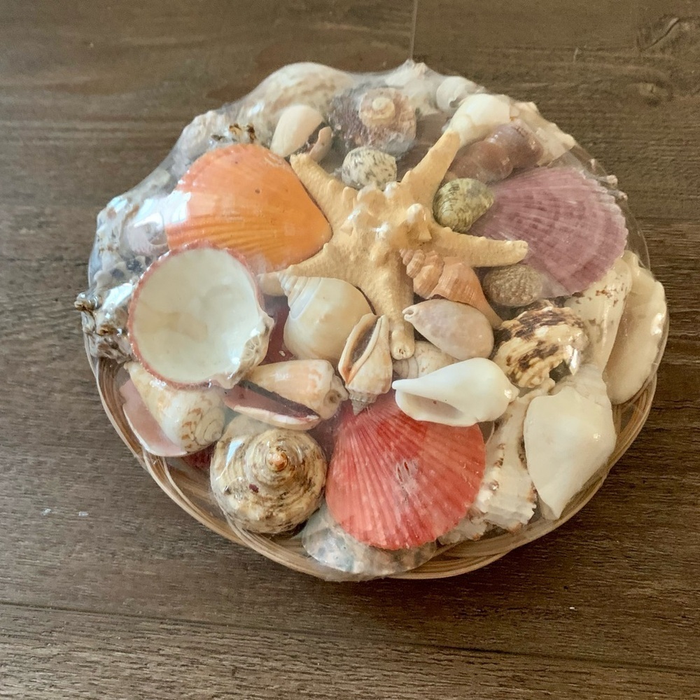 Beach Basket assorted sea Shells